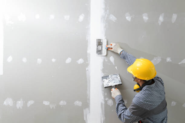 Best Mold Prevention Services  in Jasper, TN